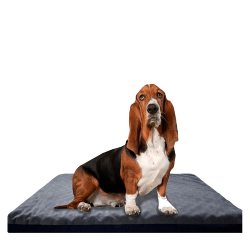 Oropedic Gray Velor Pet Bed