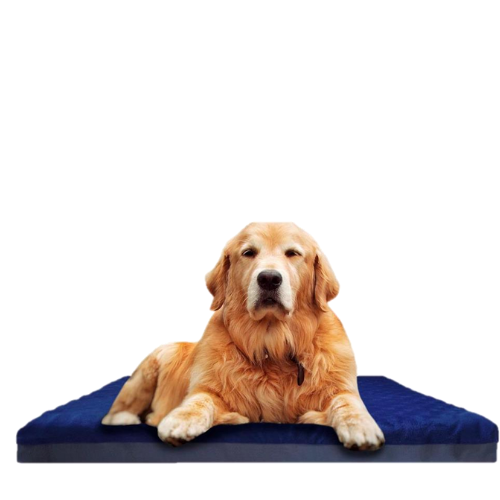 Oropedic Navy Blue Velor Pet Bed