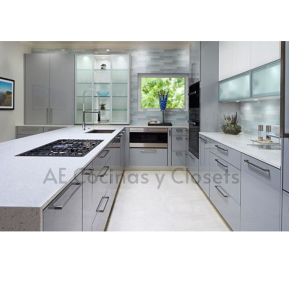 Integral Kitchen- Customizable Kitchen- Kitchen Cabinets-  Elegant Kitchen Cabinets
