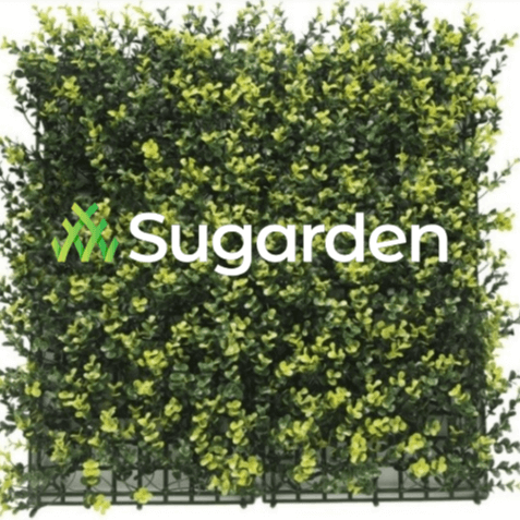 Foliage, Walls with Flower Designs