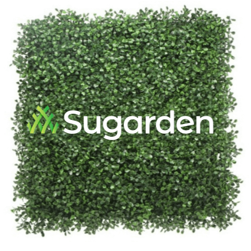 Foliage, Walls with Flower Designs BOXWOOD