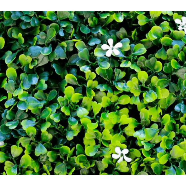 Green Wall Jasmine Model