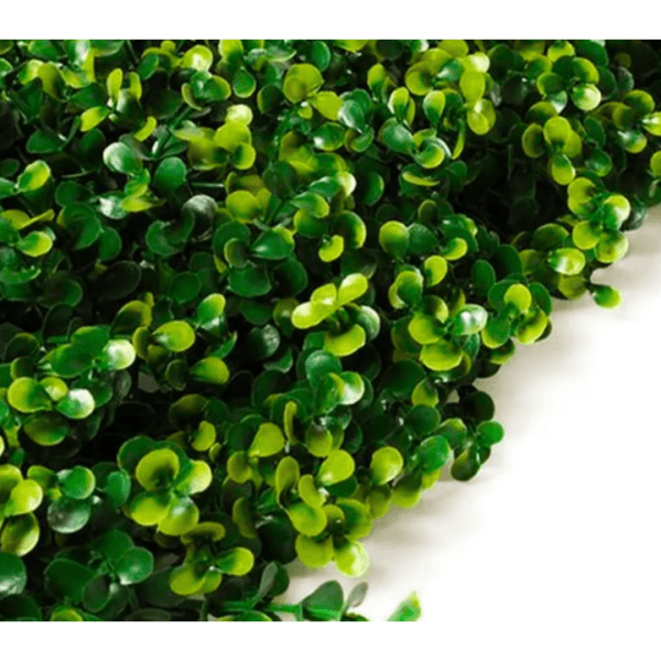 Synthetic Green Wall Arrayán Premium Model