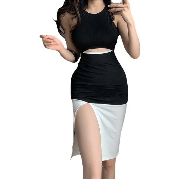 Bicolor Sleeveless Dress With Round Neck