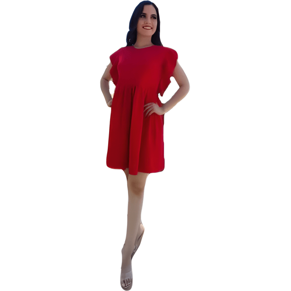 Round Neck Ruffle Sleeve Dress