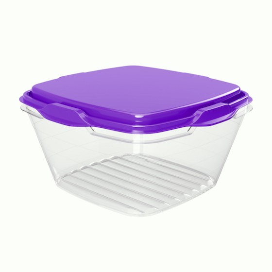 Food container 1000ml,  15.2 x 15.2 x 8.2 cm (BPA FREE Polypropyle) Purple lid