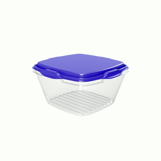 Food container 250ml/8.50oz / 9.9 x 9.9 x 5.3 c (BPA FREE Polypropyle) Blue lid