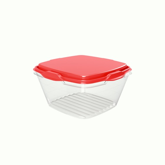 Food container 250ml/8.50oz / 9.9 x 9.9 x 5.3 c (BPA FREE Polypropyle) Red lid