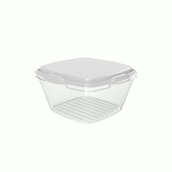 Food container 250ml/8.50oz / 9.9 x 9.9 x 5.3 c (BPA FREE Polypropyle) Whitelid