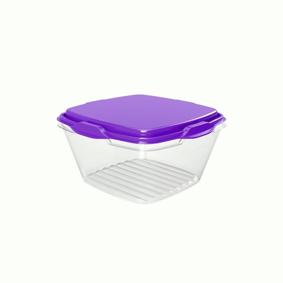 Food container 250ml/8.50oz / 9.9 x 9.9 x 5.3 c (BPA FREE Polypropyle)Purple lid