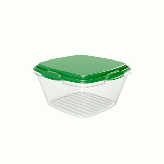 Food container 250ml/8.50oz / 9.9 x 9.9 x 5.3 c (BPA FREE Polypropyle) Green lid