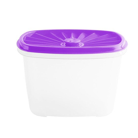 Food container-  Rectangular Date Container 1000ml (33oz)  (BPA free) Purple lid