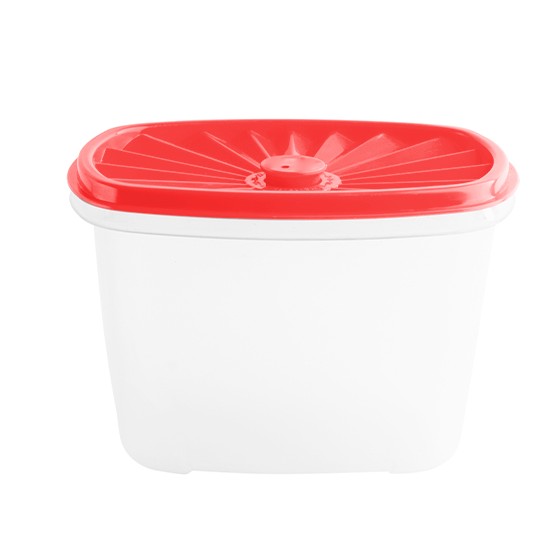 Food container-  Rectangular Date Container 1000ml (33oz)  (BPA free)  lid