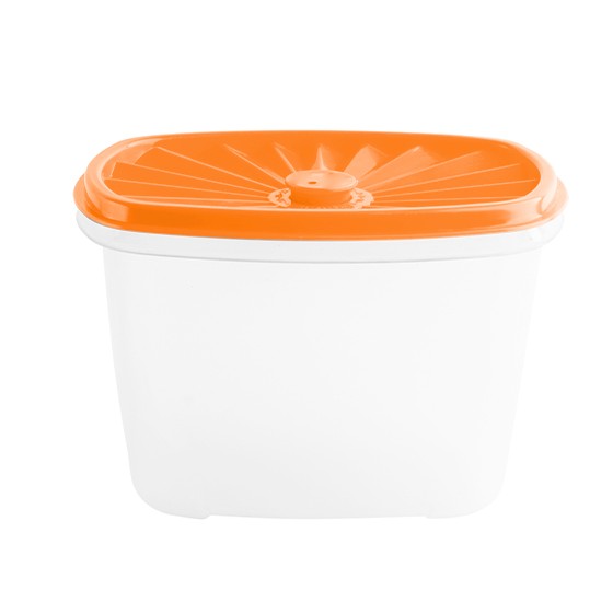 Food container-  Rectangular Date Container 1000ml (33oz)  (BPA free) Orange lid