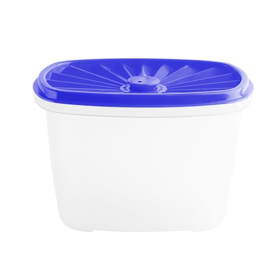 Food container-  Rectangular Date Container 1000ml (33oz)  (BPA free) Blue lid