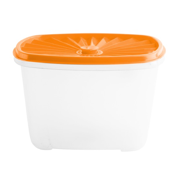 Food container-  Rectangular Date Container 2000ml (67oz)  (BPA free) Organe lid