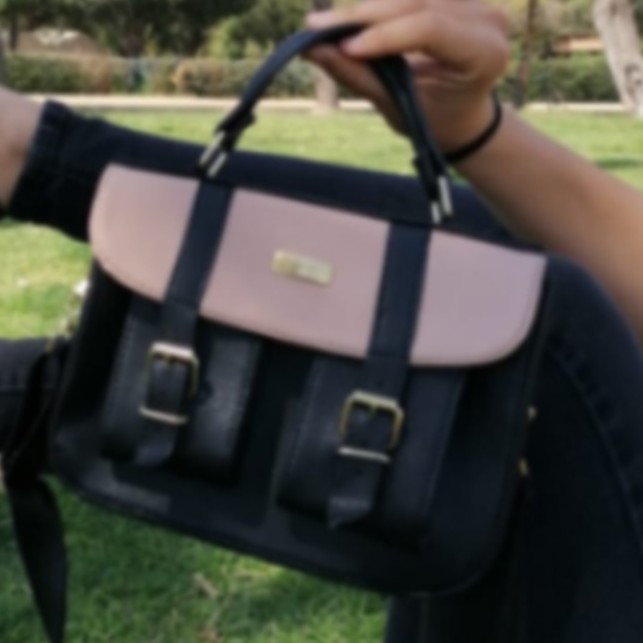 Black And Camel Crossbody Bag