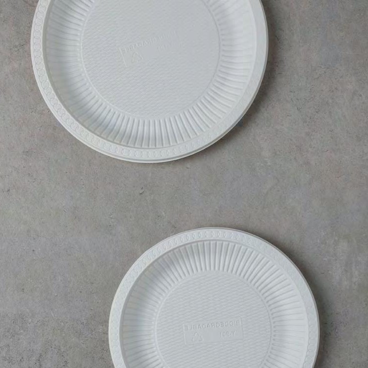 Biodegradable Food Shipping Containers- Disposable Plates