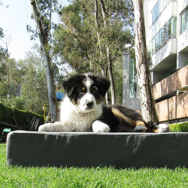 Pet Bed, made with Memory Foam