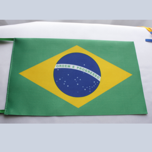 Brazil Flag